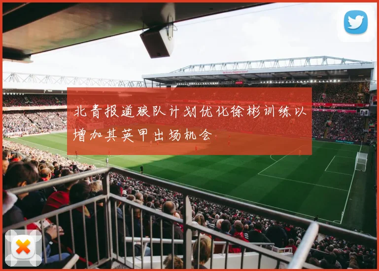 北青报道狼队计划优化徐彬训练以增加其英甲出场机会